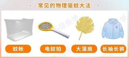 蚊子為何獨(dú)寵你？牙膏的妙用與防蚊科學(xué)