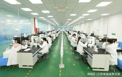 砥礪前行 打造生物醫藥民族品牌，引領技術研發與轉讓新篇章