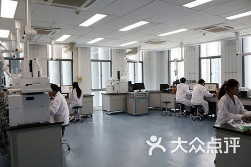武漢市政科技信息研發中心生物科技培訓課程 價格、簡介與學習體驗全解析